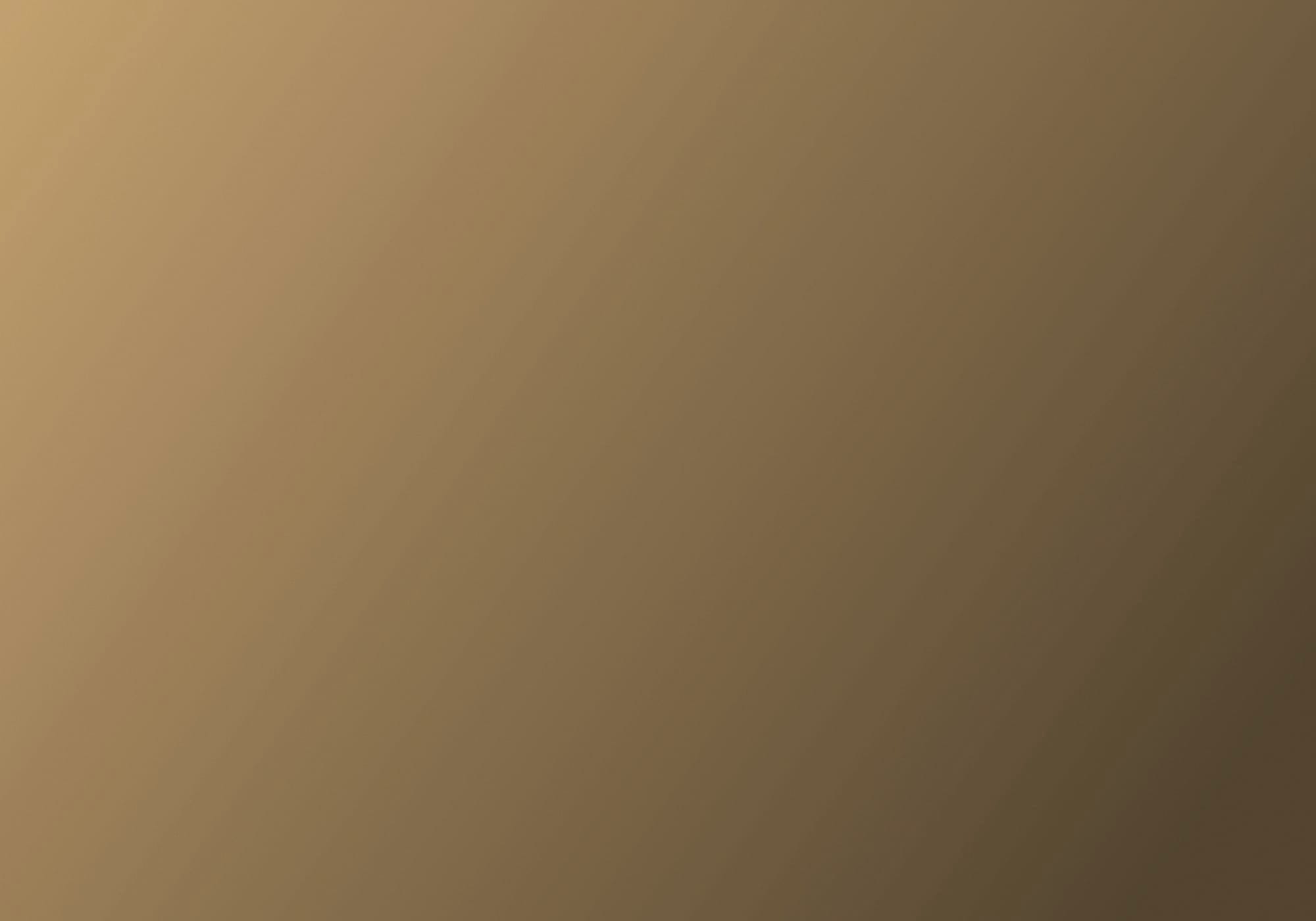 법률사무소 솔라리스 에너지인프라팀